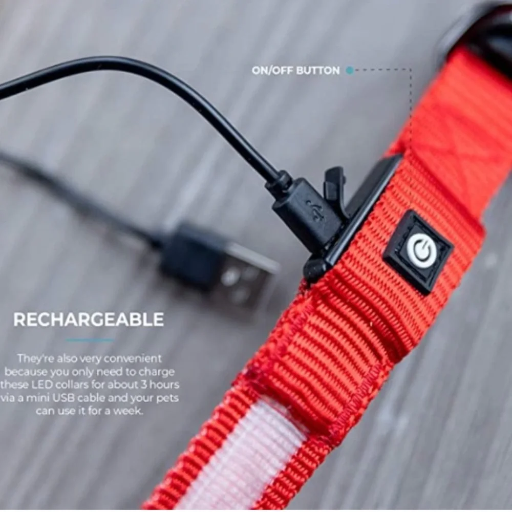Country Living by Silver Paw Light Up Dog Collars, LED USB Rechargeable M